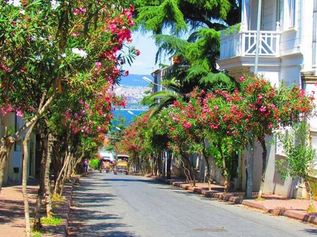 Full Day Princess Island Tour with Lunch