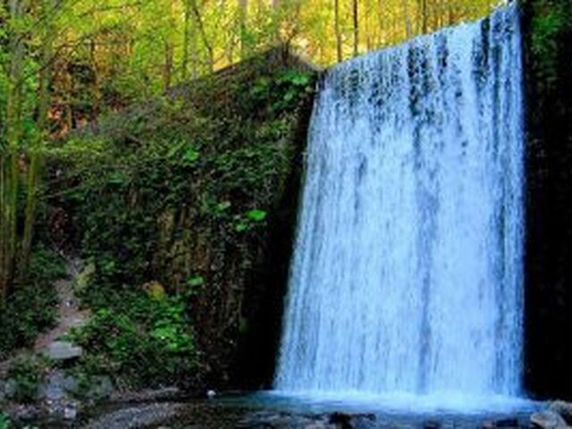 Sapanca & Masukiye Tour From Istanbul